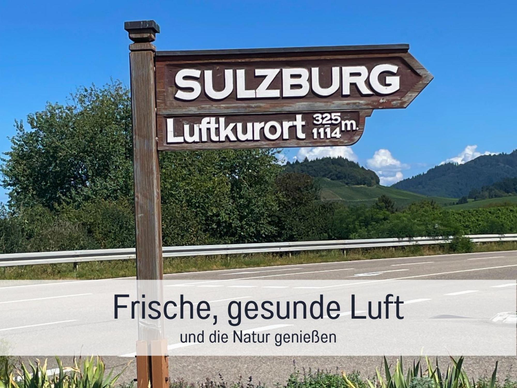 Ferienwohnungen Auszeit Langmatt Sulzburg Εξωτερικό φωτογραφία
