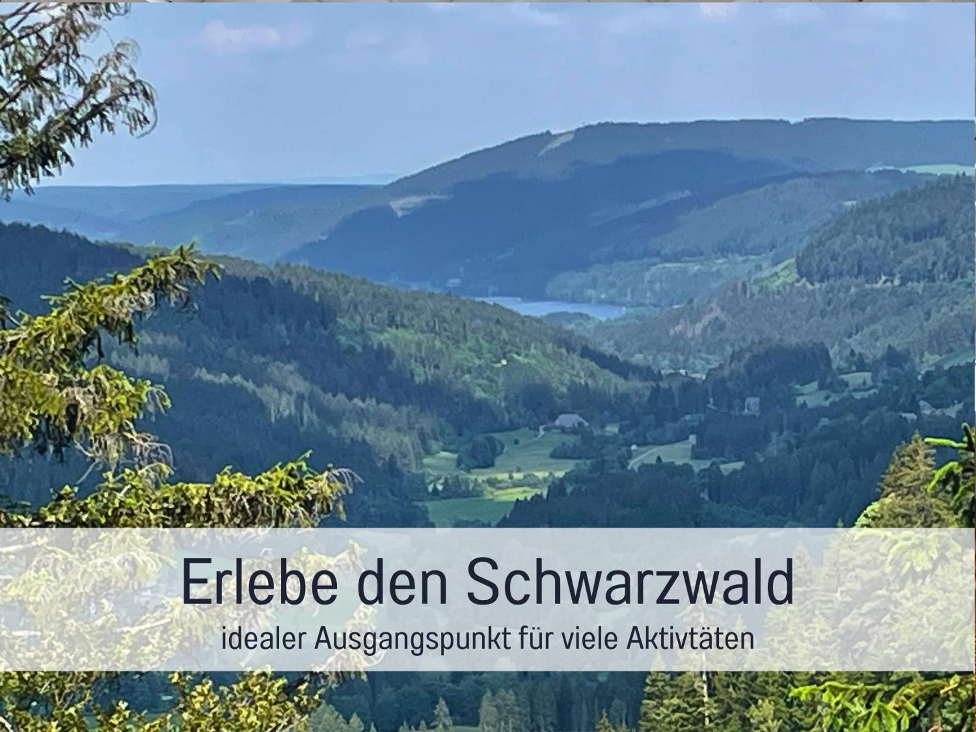 Ferienwohnungen Auszeit Langmatt Sulzburg Εξωτερικό φωτογραφία