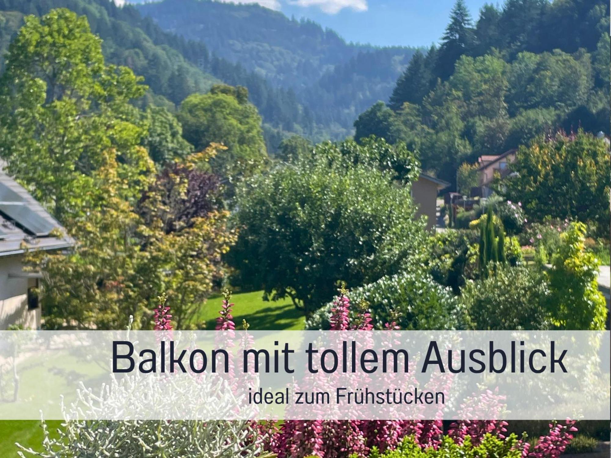 Ferienwohnungen Auszeit Langmatt Sulzburg Εξωτερικό φωτογραφία